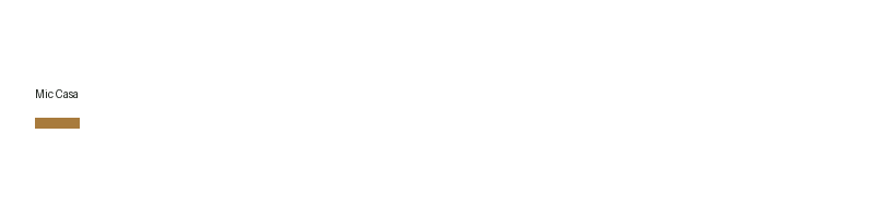 Mic Casa logo